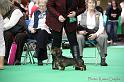 Crufts2011_2 825